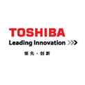 toshibaDown